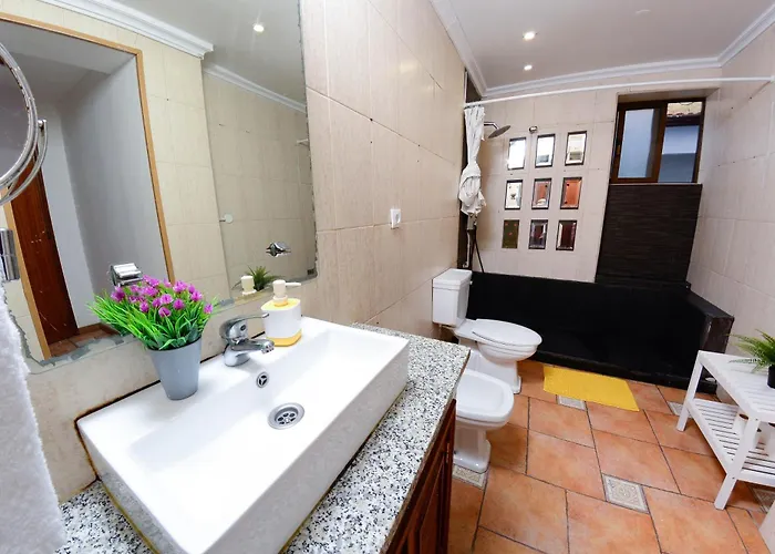 Auberge de jeunesse Live